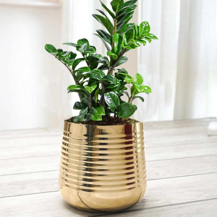 Elegant Ribbed Metal Planter for Stylish Home Decor