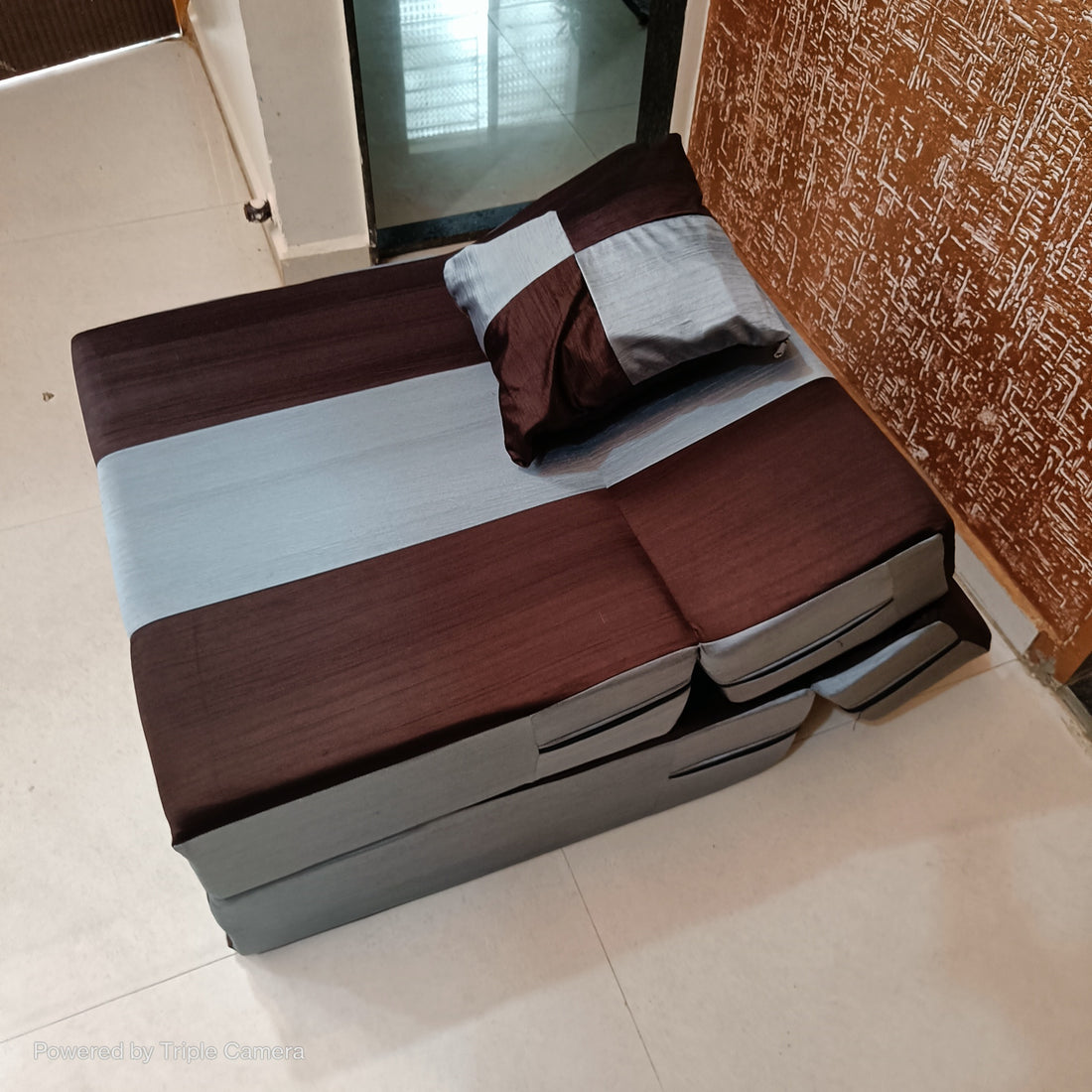 Folding Sofa Cum Bed (2.5 x 6)
